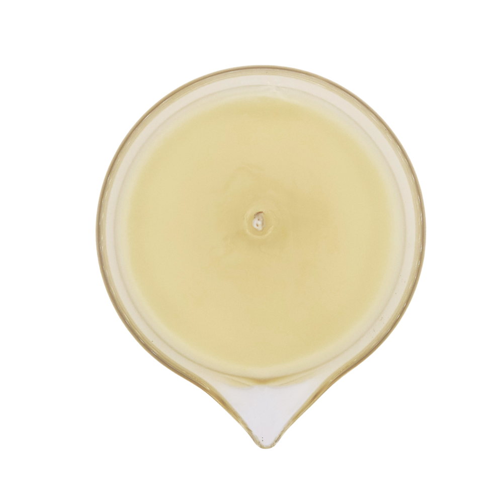 Limoncello Crème Suet Tallow Lotion Candle