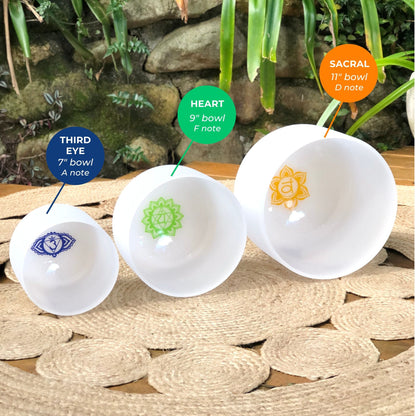 Set of 3 White Sound Therapy Bowls in Beige Case Dispatch